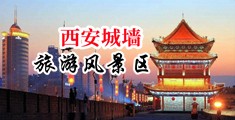 插入肉洞中国陕西-西安城墙旅游风景区